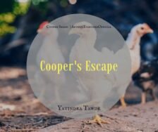 Cooper’s Escape